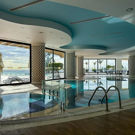 Qoople Elite Admiral